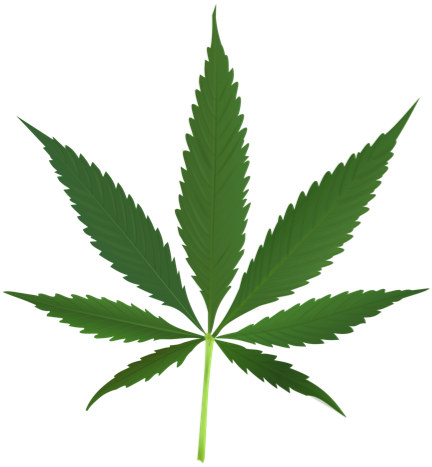 Crime Bytes: Durham Police to no longer actively pursue cannabis smokers and small-scale growers in order to prioritise more serious crime